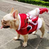 犬服 ドッグウェア クリスマス | CLARAH【WOMEN】 | 詳細画像9 