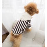犬服 犬の服 ドッグウェア | CLARAH【WOMEN】 | 詳細画像6 