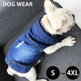 ドッグ 犬の服 犬服 | CLARAH【WOMEN】 | 詳細画像1