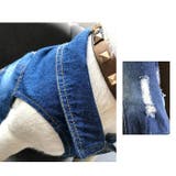 ドッグ 犬の服 犬服 | CLARAH【WOMEN】 | 詳細画像6