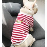 犬服 ドッグウェア ボーダー | CLARAH【WOMEN】 | 詳細画像6 