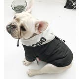 犬服 ドッグウェア 中綿ダウンベスト | CLARAH【WOMEN】 | 詳細画像8 