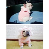 犬の服 ドッグ 犬服 | CLARAH【WOMEN】 | 詳細画像9 