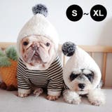 犬の服 パーカー 犬 | CLARAH【WOMEN】 | 詳細画像1 