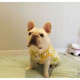 犬服 犬の服 ドッグウェア | CLARAH【WOMEN】 | 詳細画像4