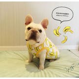 犬服 犬の服 ドッグウェア | CLARAH【WOMEN】 | 詳細画像6