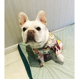 犬服 ドッグウェア つなぎ | CLARAH【WOMEN】 | 詳細画像5