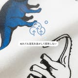 下着 ブリーフパンツ 3枚セット | CLARAH | 詳細画像4