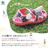 キッズ ベビー サンダル | CLARAH | 詳細画像5
