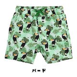 水着 キッズ ハーフパンツ | CLARAH | 詳細画像9