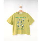 【100-120cm】猛獣恐竜フォト図鑑Tシャツ | SHOO・LA・RUE | 詳細画像1 