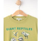 【100-120cm】猛獣恐竜フォト図鑑Tシャツ | SHOO・LA・RUE | 詳細画像3 