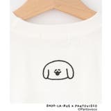 【パントビスコ／ぺろち】プリントTシャツ | SHOO・LA・RUE | 詳細画像7 