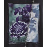 インバージョンフラワーカットソー | tk.TAKEO KIKUCHI | 詳細画像13 