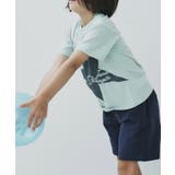 【110-130】オーガビッツトドラーアソートTEE | THE SHOP TK | 詳細画像7 