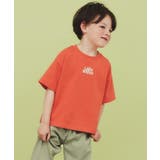 オレンジ(166) | 【110-150/6色展開】アソートプリントTシャツ/洗濯機OK | THE SHOP TK