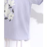 【S-LL/ひんやり/汗ジミ軽減/UVカット】グラフィックアソートTシャツ | Cutie Blonde | 詳細画像54 