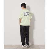 【Begin6月号掲載】オーガニックコットンプリント半袖Tシャツ | THE SHOP TK | 詳細画像36