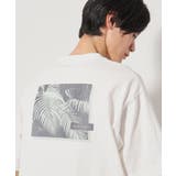 オフホワイト(603) | 【Begin6月号掲載】オーガニックコットンプリント半袖Tシャツ | THE SHOP TK