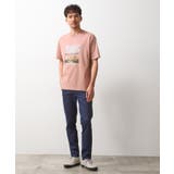 【旅するTシャツ】フォトプリント マシンウォッシャブル/サスティナブル | THE SHOP TK | 詳細画像3