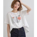 花ガーベラ(003) | 【コラボITEM】DILIGENCE PARLOUR フォトフレアTシャツ | grove