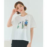 花チューリップ(103) | 【コラボITEM】DILIGENCE PARLOUR フォトフレアTシャツ | grove