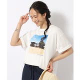 ホワイト(501) | 【洗える/プチプラ/綿100%】グラフィック半袖ゆるTシャツ | SHOO・LA・RUE
