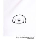 【パントビスコ／ぺろち】プリントTシャツ | SHOO・LA・RUE | 詳細画像8 