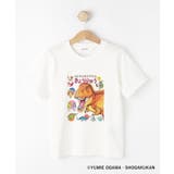 ホワイト(002) | 【小学館の図鑑NEO コラボ】恐竜Tシャツ | Dessin
