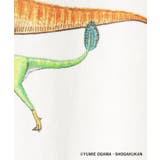 【小学館の図鑑NEO コラボ】恐竜Tシャツ | Dessin | 詳細画像14 