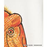 【小学館の図鑑NEO コラボ】恐竜Tシャツ | Dessin | 詳細画像10 