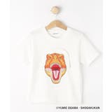 【小学館の図鑑NEO コラボ】恐竜Tシャツ | Dessin | 詳細画像12 
