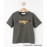 チャコールグレー(014) | 【小学館の図鑑NEO コラボ】恐竜Tシャツ | Dessin