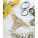 マスタード(033) | シャンタル Tバックショーツ | Risa Magli