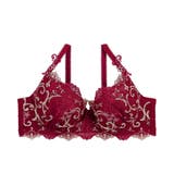 シュトレン ブラジャー | Risa Magli | 詳細画像4