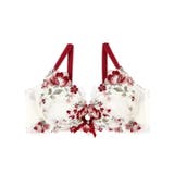 サリー ブラジャー (D-F) <V Make Type> | Risa Magli | 詳細画像2