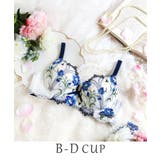 ネイビー(094) | テリン ブラジャー(B-D)<S Make Type> | Risa Magli