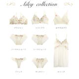 アイリィー ノーマルショーツ | Risa Magli | 詳細画像4 