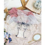 アルベルタ レースショーツ | Risa Magli | 詳細画像1 