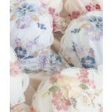 ダニエラ ブラジャー (D-F) ＜V Make Type＞ | Risa Magli | 詳細画像9 