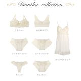 ディアンタ ノーマルショーツ | Risa Magli | 詳細画像5 
