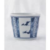 江戸っ子恐竜 双翼竜 そば千代口 | 212 KITCHEN STORE | 詳細画像1 
