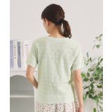 レースジャカードTシャツ | ITS'DEMO | 詳細画像15 