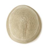 ニットチェックチューリップハット | ESPERANZA | 詳細画像3 