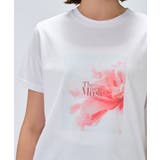 【手洗い可】ロゴプリントTシャツ | cloenc | 詳細画像17 