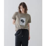 フォトプリントTシャツ|リサイクルポリエステル | cloenc | 詳細画像42