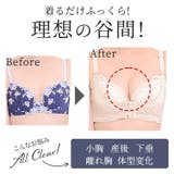 アゲブラNEOブラショーツセットセット ブラジャー 脇肉 | PREMINA | 詳細画像25