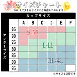 ラクブラ24 セルフィーネ ナイトブラ | PREMINA | 詳細画像9