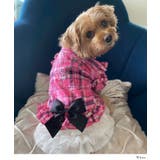 犬服レースチュールフリフリラブリースカート 韓国 夢展望 | 夢展望 | 詳細画像4