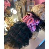 うさ耳パーカーラブリーフリフリレースギャル犬服 韓国 夢展望 | 夢展望 | 詳細画像5